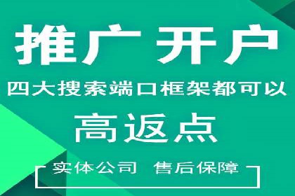 竞价开户优势解析：成功案例对比